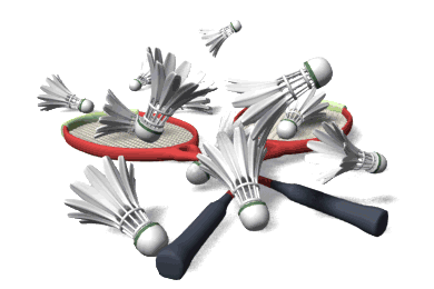 badminton-racket-shut-a-ha-1.gif
